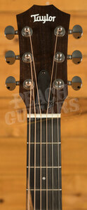 Taylor GS Mini Series | GS Mini Sapele