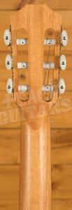 Taylor Academy Series | Academy 12e-N LTD