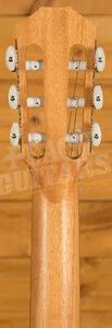 Taylor Academy 12e-N LTD Solid-Top Classical Guitar - Natural