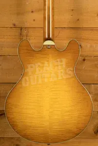 Eastman T486 - Goldburst