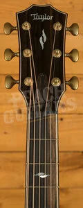 Taylor 800 Series | Builder's Edition 814ce - Adirondack Spruce & Indian Rosewood