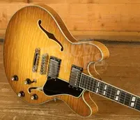 Eastman T486 - Goldburst