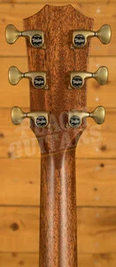 Taylor 800 Series | Builder's Edition 814ce - Adirondack Spruce & Indian Rosewood