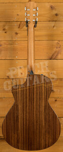 Taylor 200 Plus Series | 212ce-N Plus