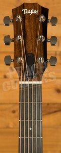 Taylor 300 Series | 314ce Studio - Shaded Edgeburst