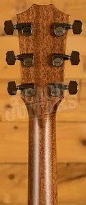 Taylor 800 Series | 814ce Next Generation
