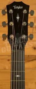 Taylor 300 Series | 312ce