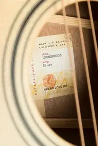 Taylor 300 Series | 312ce
