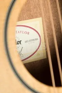 Taylor Big Baby Series | BBT