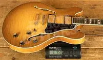 Eastman T486 - Goldburst
