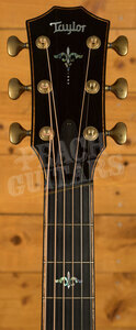 Taylor 900 Series | Builder's Edition 912ce - Natural 