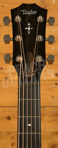 Taylor 700 Series | Builder's Edition 717 - Natural