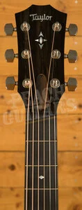 Taylor 700 Series | Builder's Edition 717 - Natural