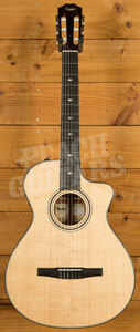 Taylor 300 Series | 312ce-N - Nylon