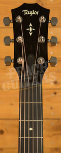 Taylor 500 Series | Builder's Edition 517 - Wild Honey Burst 