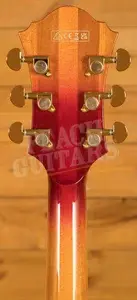 Ibanez AF115 - Aged Whiskey Burst