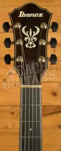 Ibanez ASH300 - Tobacco Brown