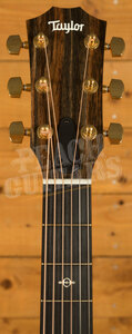 Taylor 200 Deluxe Series | 224ce-K DLX