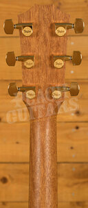 Taylor 200 Deluxe Series | 224ce-K DLX