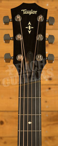 Taylor 500 Series | Builder's Edition 517 - Wild Honey Burst 