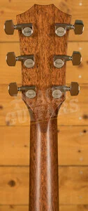 Taylor 500 Series | Builder's Edition 517 - Wild Honey Burst 