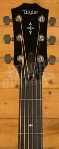 Taylor 700 Series | Builder's Edition 717 - Natural