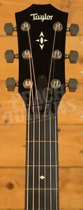 Taylor 500 Series | Builder's Edition 517e - Natural