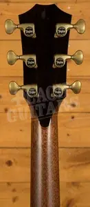 Taylor Presentation Series | PS14ce Honduran Rosewood & Sinker Redwood