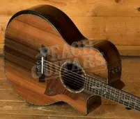 Taylor Presentation Series | PS14ce Honduran Rosewood & Sinker Redwood