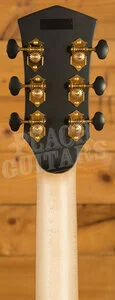 Cort Gold-Passion - Natural Gloss