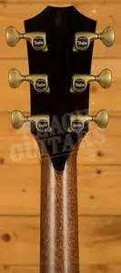 Taylor Presentation Series | PS14ce Honduran Rosewood & Sinker Redwood