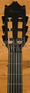 Ibanez GA621 GA Series Electro-Nylon - Ebony - Black Out