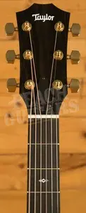 Taylor 100 Series | Sunset Blvd 114ce - Shaded Edgeburst