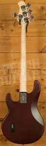 Sterling RAY4 SUB Series StingRay Bass - Walnut Satin