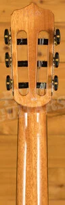 Cordoba Stage - Natural Amber