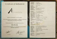 Tom Anderson Icon Classic | 3 Colour Burst