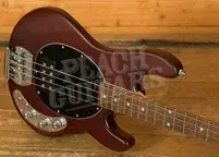 Sterling RAY4 SUB Series StingRay Bass - Walnut Satin