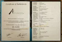 Tom Anderson Drop Top Hollow | Natural Mocha