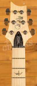 PRS SE Specialty | Swamp Ash Special - Iri Blue