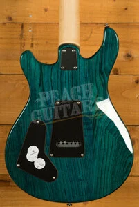 PRS SE Specialty | Swamp Ash Special - Iri Blue