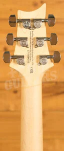 PRS SE Specialty | Swamp Ash Special - Iri Blue