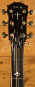 Taylor 900 Series | Builder's Edition 912ce - Wild Honey Burst