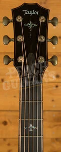 Taylor 900 Series | Builder's Edition 914ce - Natural