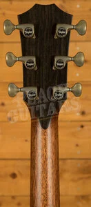 Taylor 900 Series | Builder's Edition 914ce - Natural
