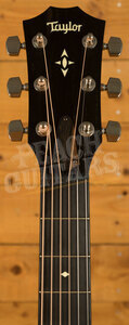 Taylor 500 Series | Builder's Edition 517e - Natural