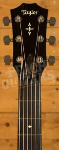 Taylor 500 Series | Builder's Edition 517e - Natural