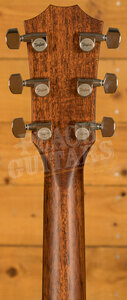 Taylor 500 Series | Builder's Edition 517e - Natural