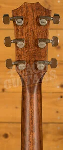 Taylor 500 Series | Builder's Edition 517e - Natural