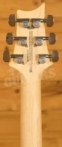 PRS SE Specialty | Swamp Ash Special - Iri Blue