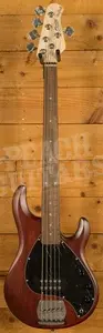 Sterling RAY5 SUB Series StingRay 5 Bass - Walnut Satin